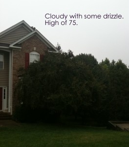 Week in My Life: Wacky Wednesday