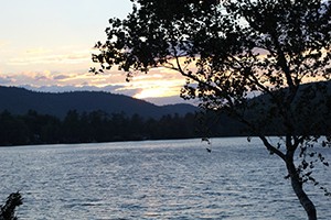 Learning to be still