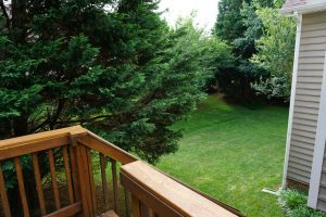 The key to enjoying your yard this summer – mosquito control